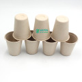 Anhui EVEN Factory Wholesale Biodegradable Sugarcane Bagasse Coffee Travel Mug Cups With Lid